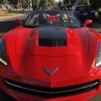 At Your Service Car Rental, LLC ico