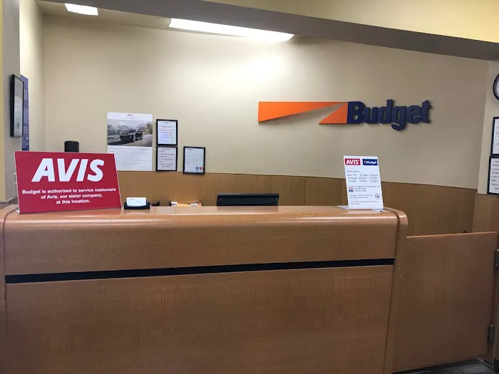 Budget Car Rental Picture 3
