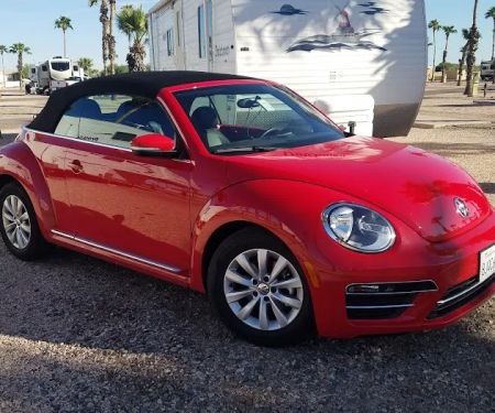 Avis Car Rental
