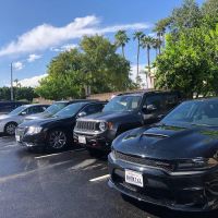 Avis Car Rental ico