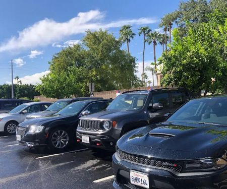 Avis Car Rental