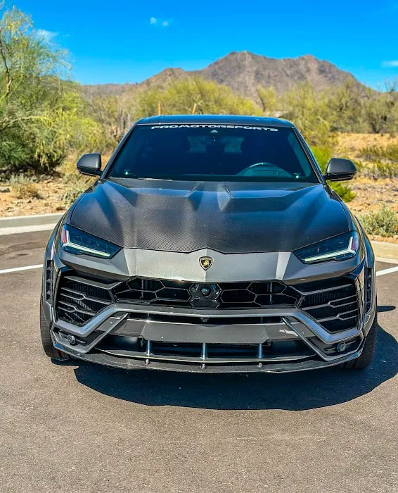 Desert Luxe Exotics Picture 3