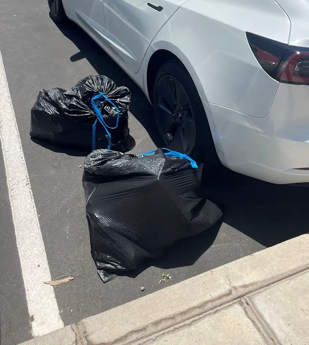Arizona Tesla Rentals Picture 1