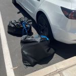 Arizona Tesla Rentals