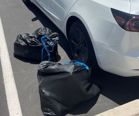 Arizona Tesla Rentals