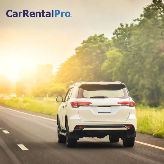 Car Rental Pro Picture 1