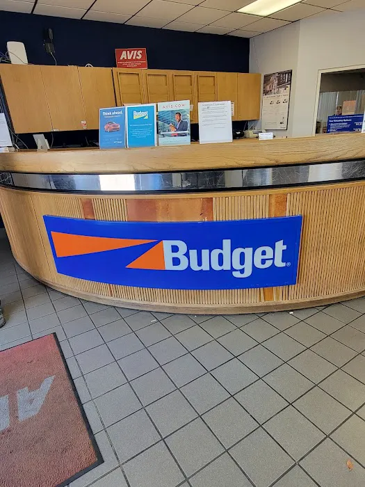 Budget Car Rental Picture 3