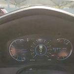 Avis Car Rental