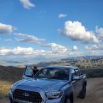 Avis Car Rental