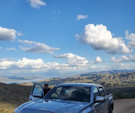 Avis Car Rental