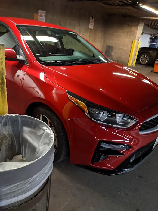 Avis Car Rental Picture 2