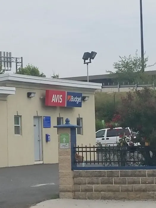 Avis Car Rental Picture 7