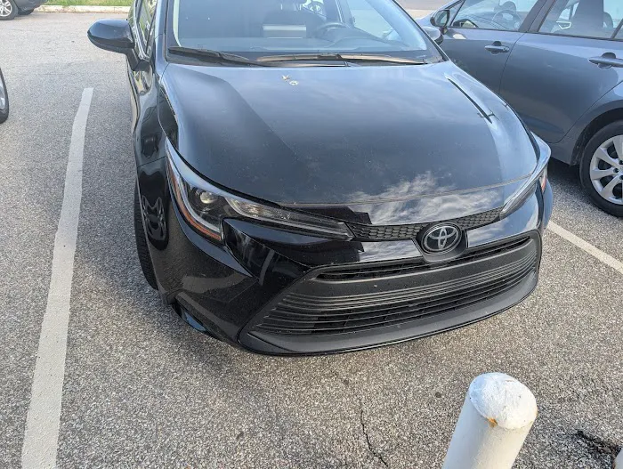 Budget Car Rental Picture 7