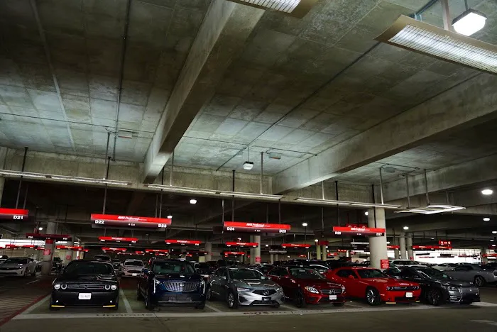 Budget Car Rental Picture 6