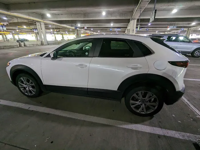 Budget Car Rental Picture 9