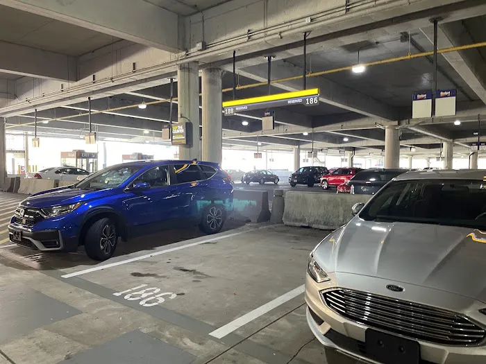 Dollar Car Rental - Baltimore International Airport Picture 2