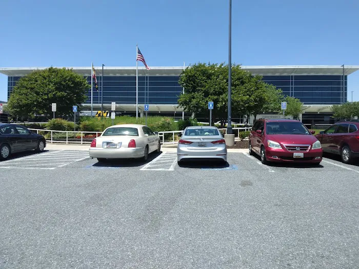 Dollar Car Rental - Baltimore International Airport Picture 5
