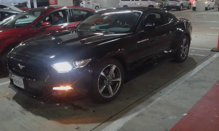 Avis Car Rental Picture 7