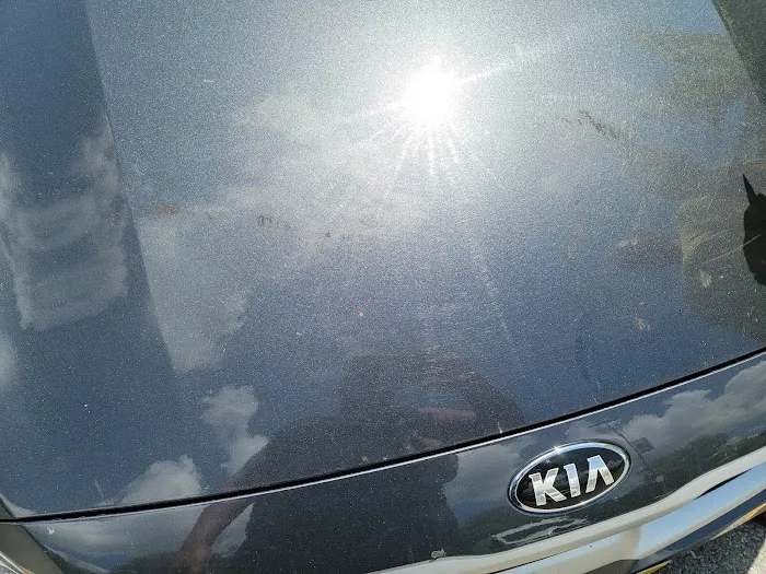 Avis Car Rental Picture 3