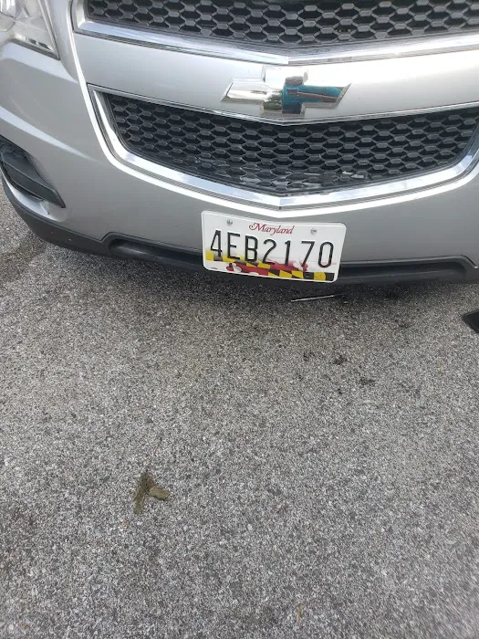 Traffik RENT-A-CAR Picture 1