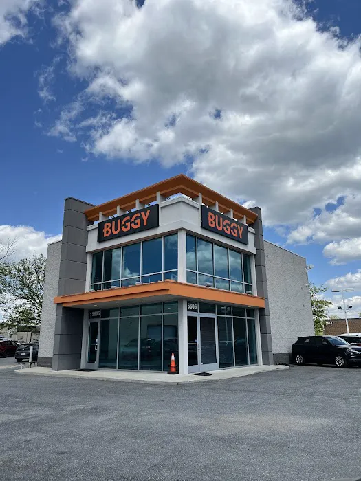Buggy Rideshare Rental - D.C. Picture 1