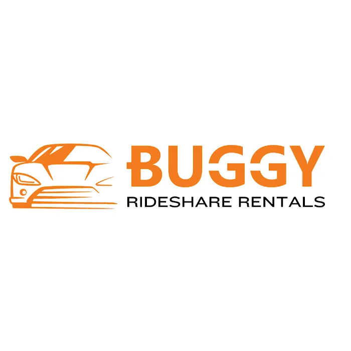 Buggy Rideshare Rental - D.C. Picture 2