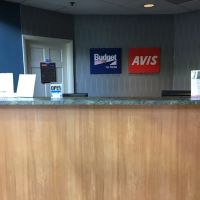Avis Car Rental ico