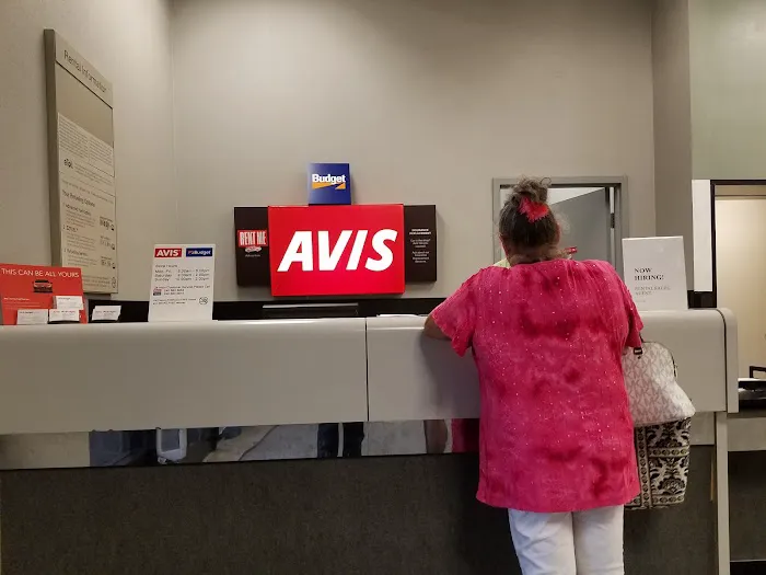 Avis Car Rental Picture 4