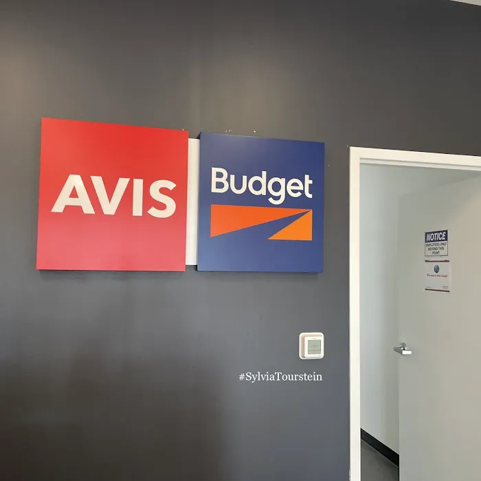 Avis Car Rental Picture 8