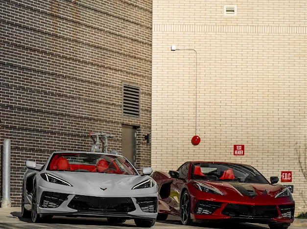 NSP Exotics Picture 6