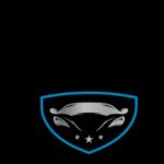 Derivative Car Rentals