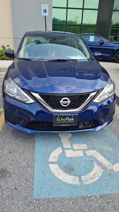 Dimmples Car Rentals Picture 3