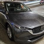 Avis Car Rental