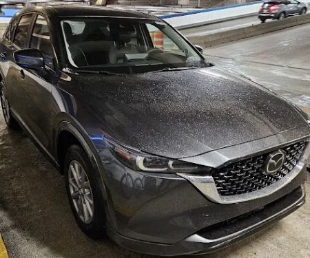 Avis Car Rental