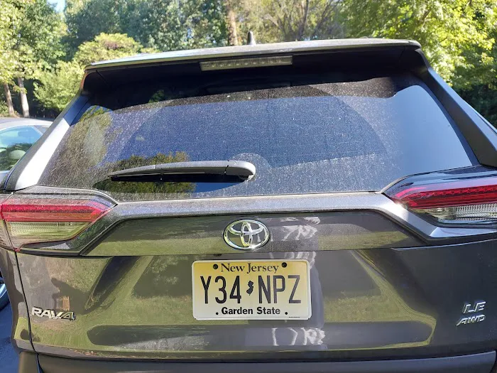 Budget Car Rental Picture 10