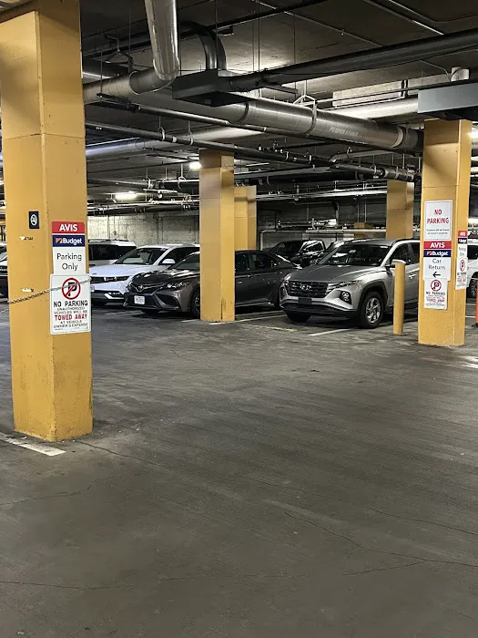 Avis Car Rental Picture 1
