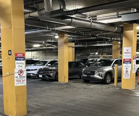 Avis Car Rental