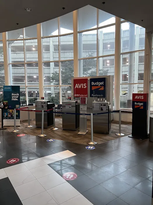 Avis Car Rental Picture 3