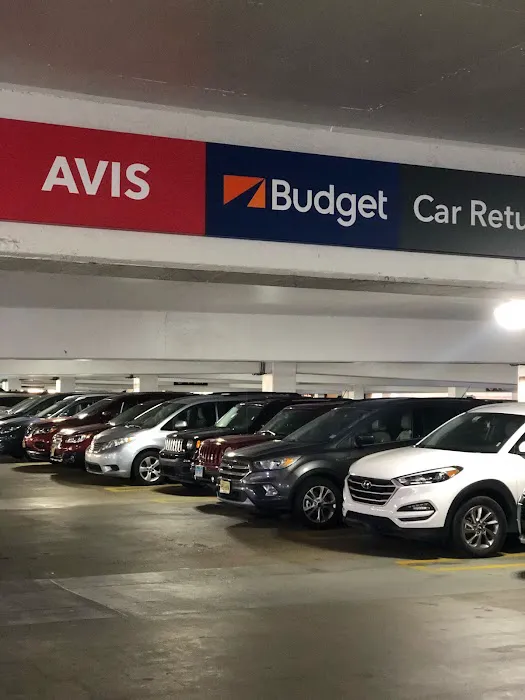 Avis Car Rental Picture 6