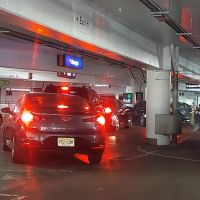 Avis Car Rental ico