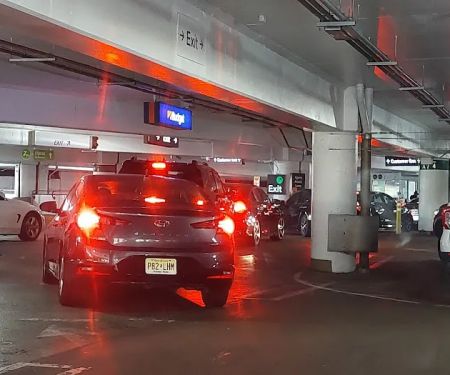 Avis Car Rental