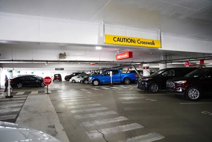 Budget Car Rental Picture 1