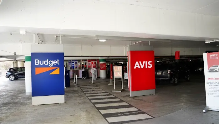 Budget Car Rental Picture 3