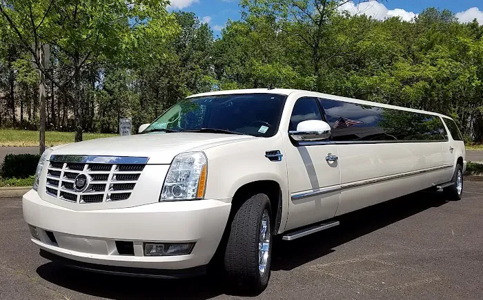 Safari Car Rental Picture 2