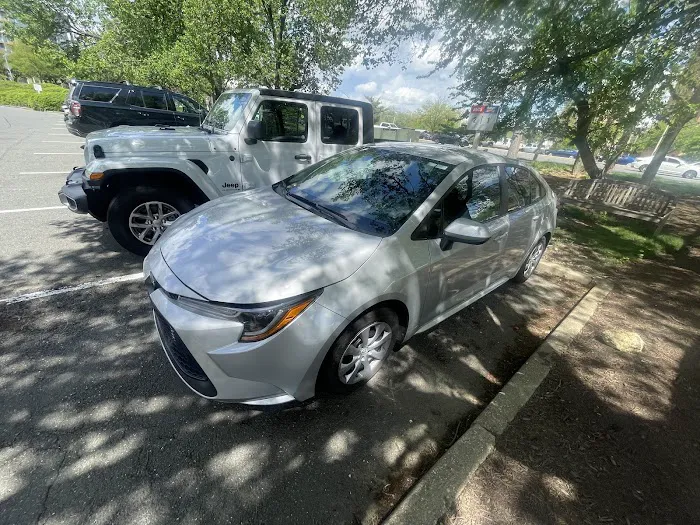 Budget Car Rental Picture 2