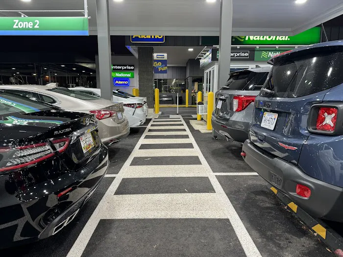 Alamo Rent A Car Picture 8