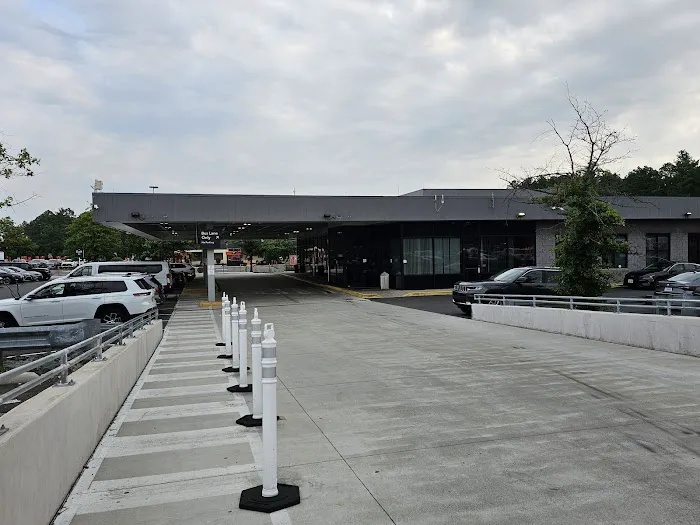 Avis Car Rental Picture 8
