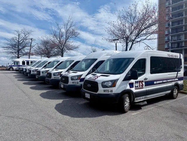 MTS Transportation Picture 1