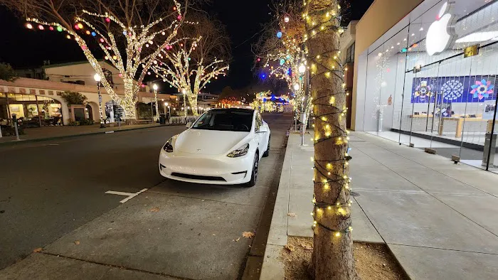Tesla EV Rentals Inc. Picture 1