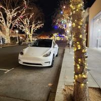 Tesla EV Rentals Inc. ico